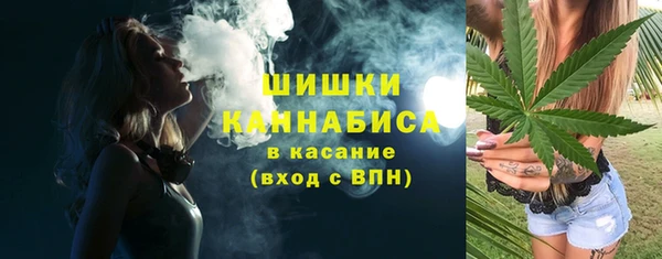 шишки Белокуриха