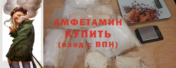 шишки Белокуриха