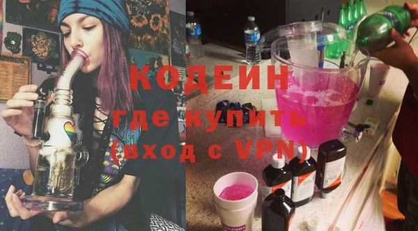 шишки Белокуриха