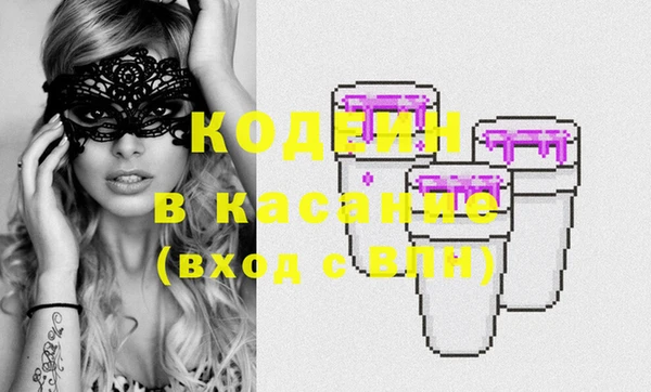 шишки Белокуриха