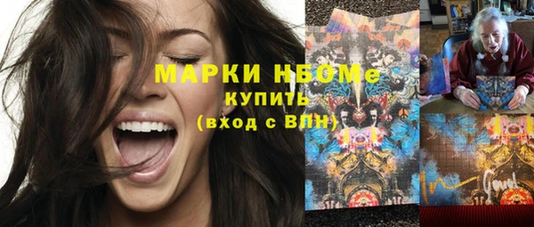 шишки Белокуриха