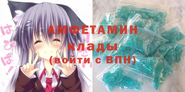 шишки Белокуриха