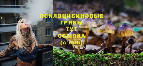 шишки Белокуриха