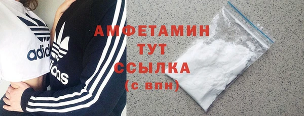 шишки Белокуриха