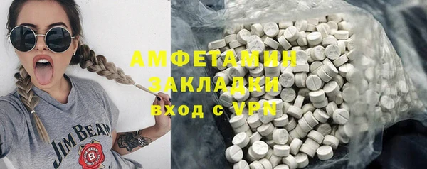 шишки Белокуриха