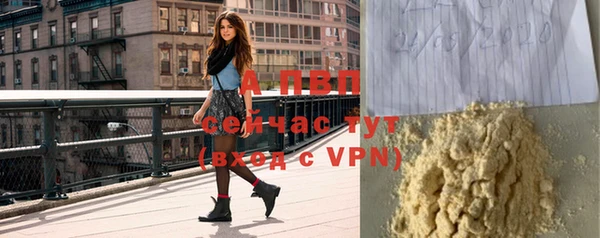 шишки Белокуриха