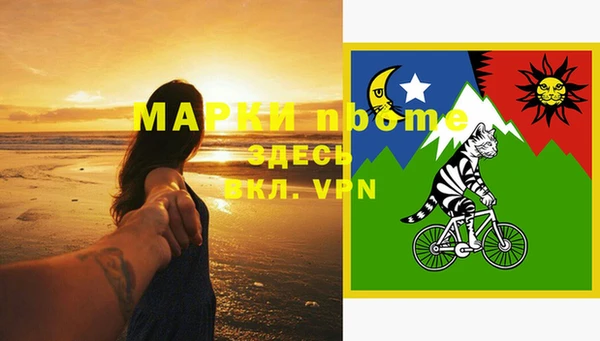 шишки Белокуриха