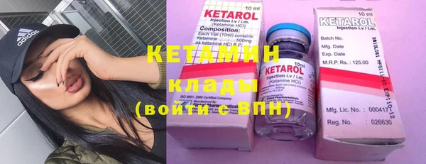 шишки Белокуриха