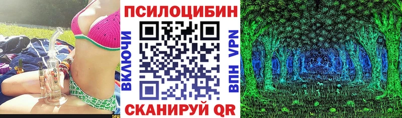 Псилоцибиновые грибы MAGIC MUSHROOMS  Купить закладки  Невельск 